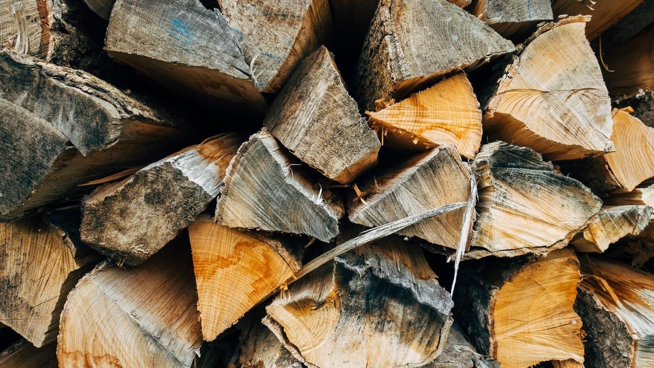 Strongest Type Of Wood